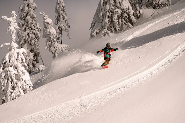 Vy över aktiv snowboardåkare i ljusa flerfärgad övergripande ridning ner på spjälsäng stänk snö. — Stockfoto