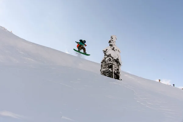 Ενεργό snowboarder σε φωτεινά φόρμες slides κάτω από το βουνό σε splitboard και άλματα μέχρι — Φωτογραφία Αρχείου