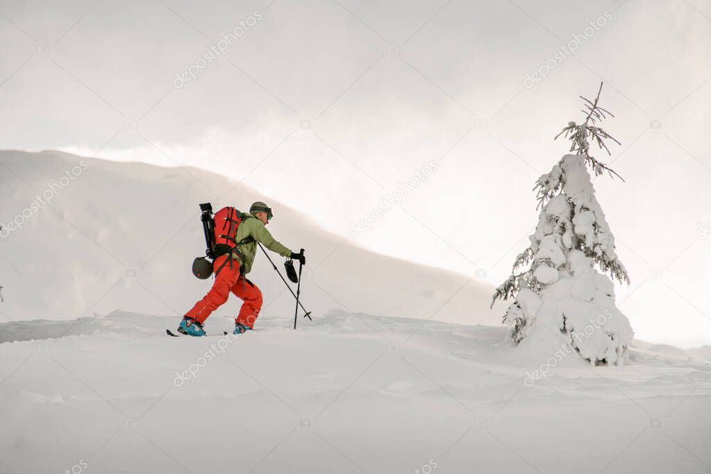 side view of active skier climbing the hill on splitboard. Ski touring in mountains.