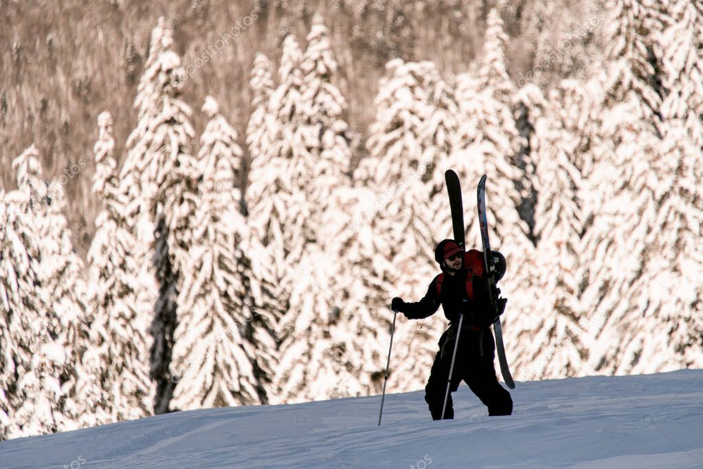 view on man with ski tour equipment walking at trail along the snow-covered fir-trees.
