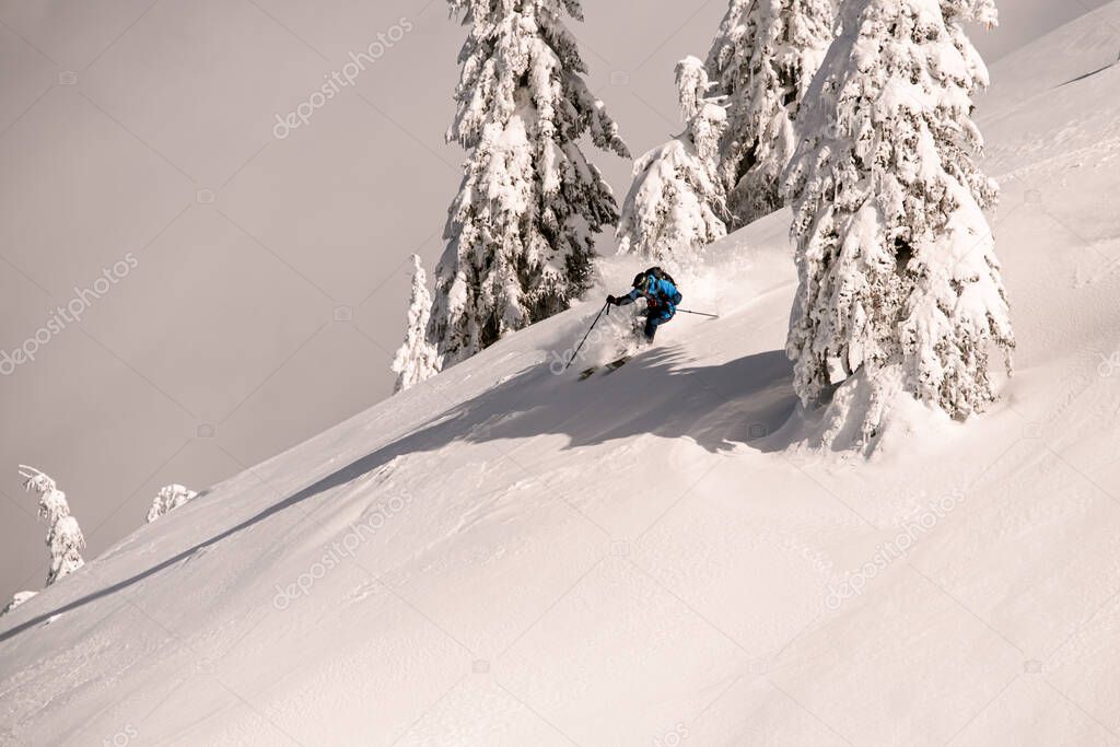 ski athlete descending down the snowy hill on splitboard on powder snow.