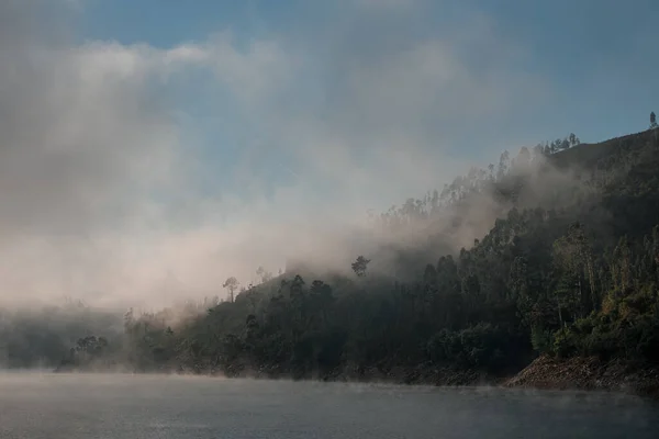 Maravillosa ladera cubierta de árboles cerca del agua cubierta de neblina blanca y niebla — Foto de Stock