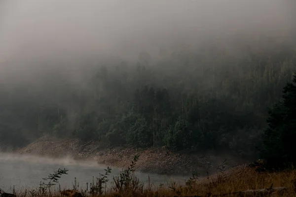 흰색 안개와 짙은 안개로 덮여 있는 물 근처 의나무들로 덮여 있는 언덕 의경 치 — 스톡 사진