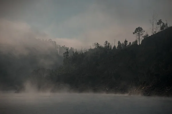 Water bay among the hills with trees in the morning mist — Foto de Stock