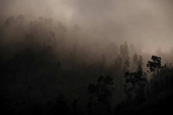 Epic landscape of nature with thick fog rolling through hills with trees — Stockfoto