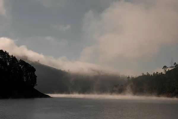 Bahía de agua entre las colinas con árboles en la niebla de la mañana — Foto de Stock
