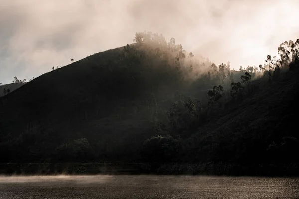 안개가 자욱하게 끼어 있는 물속 의나무들이 있는 아름다운 언덕 들 — 스톡 사진