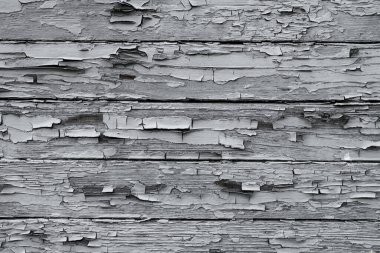 Arka plan dokusu olarak eski, pis, beyaz, yatay ahşap kalas. Kalitesiz ahşap arka plan dokusu yüzeyi. Ahşap duvar kağıdı.