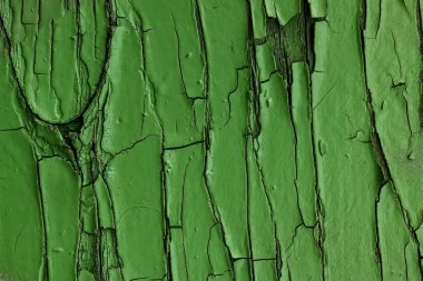 Close-up old grungy green painted wood plank as background texture. Wood mockup wallpaper template design for decoration.