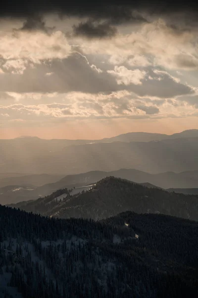 Чудовий Вид Гірські Пагорби Вкриті Вічнозеленими Деревами Променях Ранкового Сонця — стокове фото