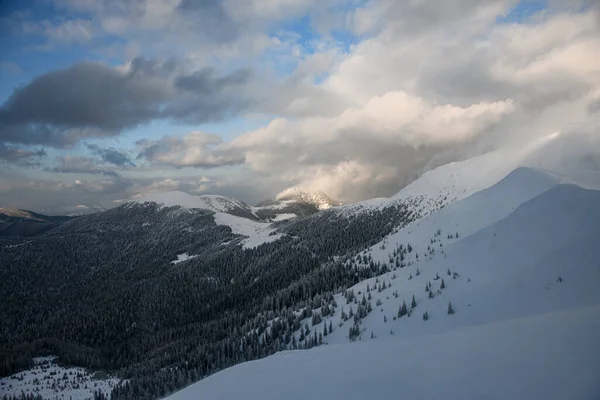 Wonderful Amazing View Snowy Mountain Evergreen Fir Trees Blue Sky — Fotografia de Stock