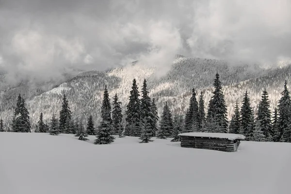 Wonderful Winter Landscape Snowy Forest Fir Trees Mountains Hut Snowy — Photo