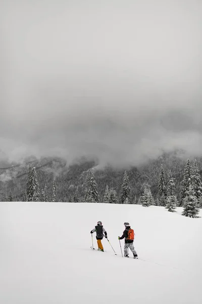 Skiers Walking Ski Snowy Ridge Backpacks Snow Capped Mountains Trees — ストック写真