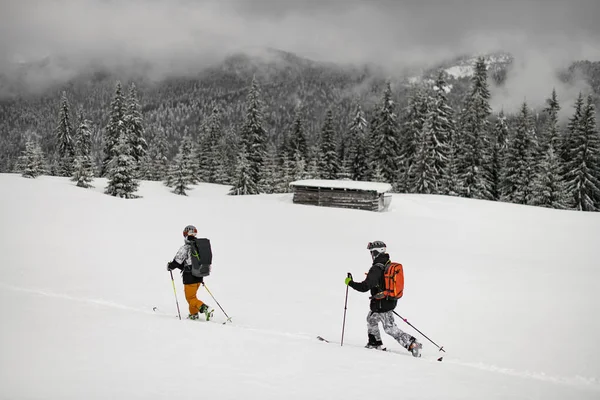 Two Active Skiers Walking Ski Snowy Trail Backpacks Snow Capped — Photo