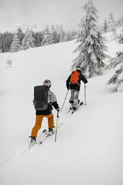 Rear View Two Guys Skiers Backpacks Walking Ski Snow Capped — Zdjęcie stockowe