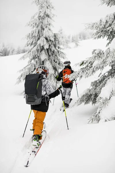 Back View Two Guys Skiers Backpacks Walking Ski Snow Capped — Zdjęcie stockowe