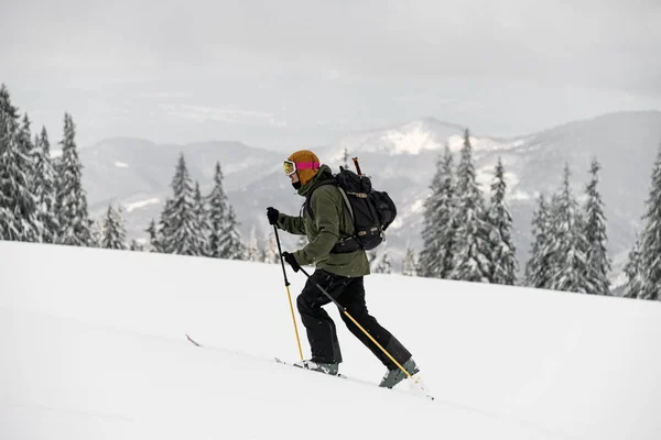 Side View Skier Walking Ski Snowy Trail Backpack Snow Capped — Zdjęcie stockowe