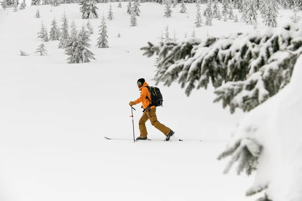 Skier Colorful Costume Walking Snowy Winter Forest Ski Tour Side — Zdjęcie stockowe