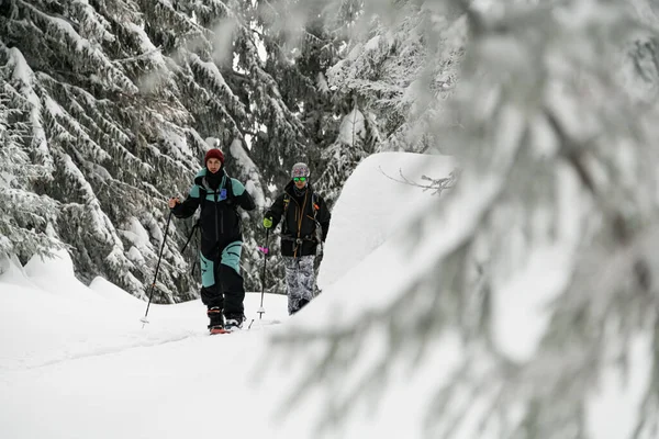 Great View Snow Covered Fir Trees Skiers Walking Snowy Trail — Zdjęcie stockowe