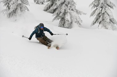 Energy freeride skier rides on powder snow down mountain slope along fir trees. Ski touring and freeride concept