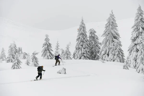 Two Guys Skiers Hiking Equipment Walking Deep Snow Mountain Slope — Zdjęcie stockowe