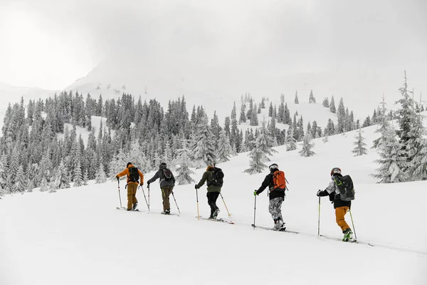 Rear View Group Male Skier Tourists Backpacks Hiking Skis Deep — 图库照片