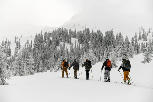 Rear View Group Travelers Male Skier Tourists Backpacks Hiking Skis — Zdjęcie stockowe