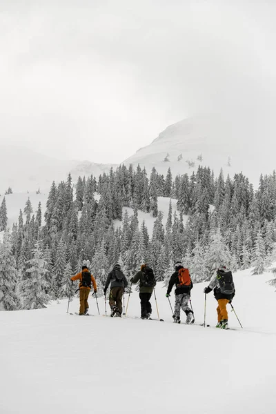 Group Travelers Male Skier Tourists Backpacks Hiking Skis Deep Snow — Photo