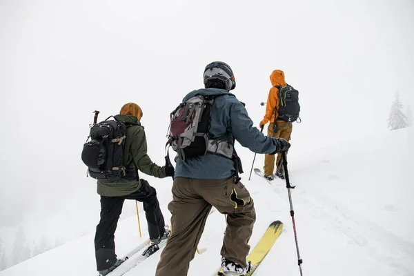 Rear View Group People Bright Ski Suits Walking Top Snow — Zdjęcie stockowe