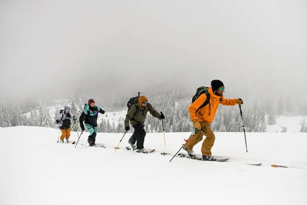 Group Male Skiers Backpacks Hiking Skis Deep Snow Cold Winter — Zdjęcie stockowe