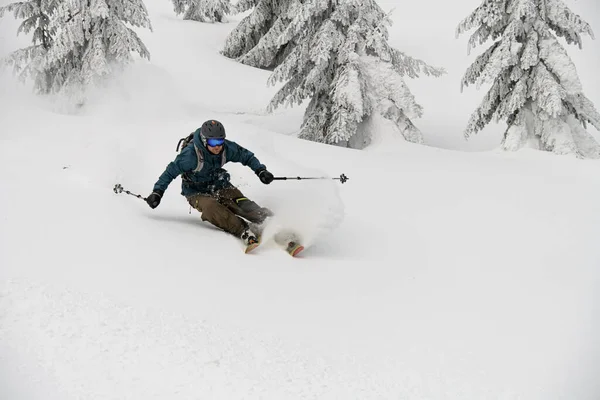Energy Freeride Skier Rides Powder Snow Mountain Slope Fir Trees — Zdjęcie stockowe