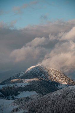 amazing winter landscape of snow-covered slopes and forest of evergreen fir trees growing on it. Beautiful cumulus clouds