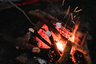 Ateşin üzerinde kızaran tahta çubuklarda tatlı beyaz şekerlemeler. Kamp ve piknik konsepti.