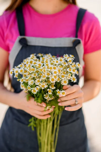 女性の手に新鮮な白い小さなデイジーの花に選択的な焦点を当てます 背景がぼやけている — ストック写真