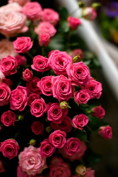 Detailní Pohled Shora Svazek Čerstvě Křehkých Růžových Růží Květin Fragment — Stock fotografie