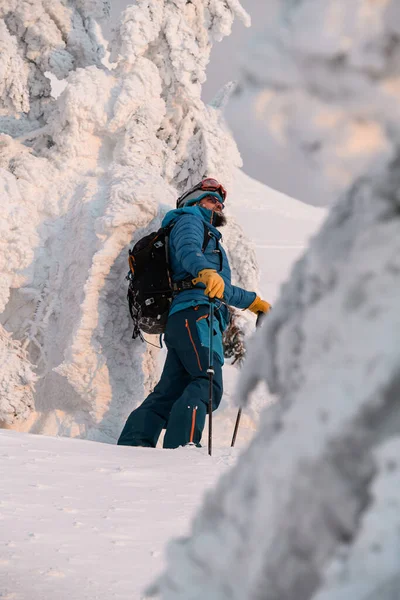 スキースーツ姿の男と雪に覆われた木々の間にトレッキングポール付きのバックパックの下のビュー スキーツアー — ストック写真