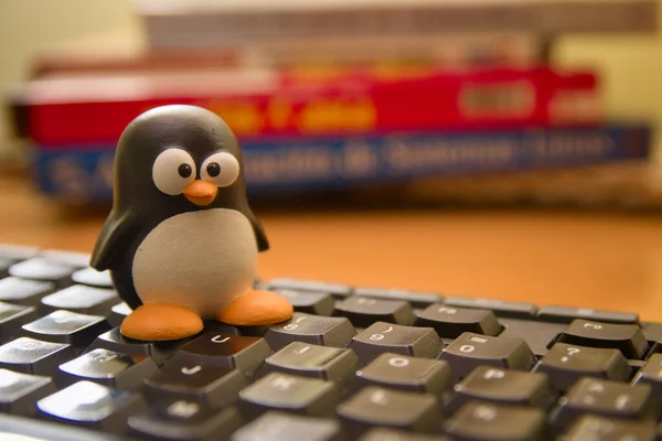 2021 İspanya. Bir Tux pengueni resmi, bir bilgisayar klavyesinde Linux işletim sisteminin amblemi