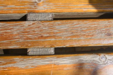 Sokakta üç doğal ormanın oluşturduğu, kabuk soyan doğal bir arka plan oluşturan halka açık bir koltuk.