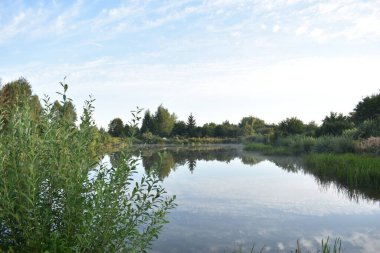   Açık yaz zamanında mavi göl. Sahildeki ağaçlar ve yansımaları 