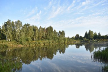    Açık yaz zamanında mavi göl. Sahildeki ağaçlar ve yansımaları