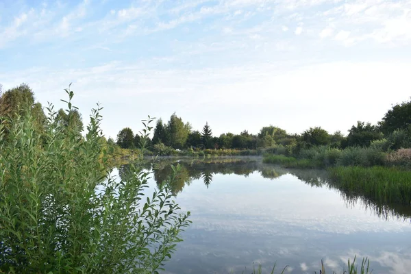   Açık yaz zamanında mavi göl. Sahildeki ağaçlar ve yansımaları 
