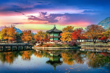 Gyeongbokgung Sarayı Güz, Güney Kore.