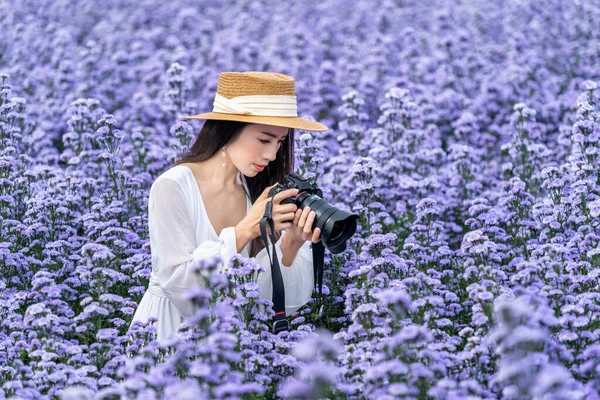 観光客はマーガレットの花のフィールドでデジタルカメラで写真を撮る — ストック写真