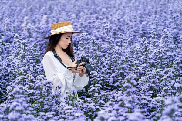 観光客はマーガレットの花のフィールドでデジタルカメラで写真を撮る — ストック写真