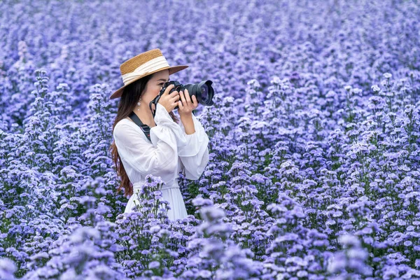 Touristin Fotografiert Mit Digitalkamera Margaretenblumenfeldern — Stockfoto