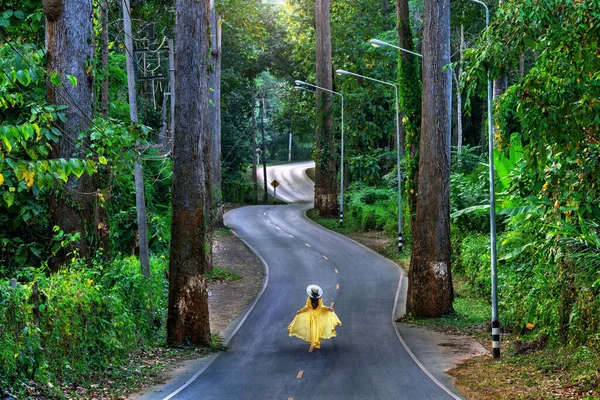 Chiang Mai Tayland Dev Ağaçlarla Yolda Yürüyen Bir Kadın — Stok fotoğraf