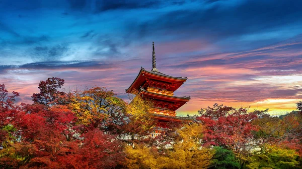 Färgstark Höstsäsong Och Röd Pagoda Vid Solnedgången Kyoto Japan — Stockfoto