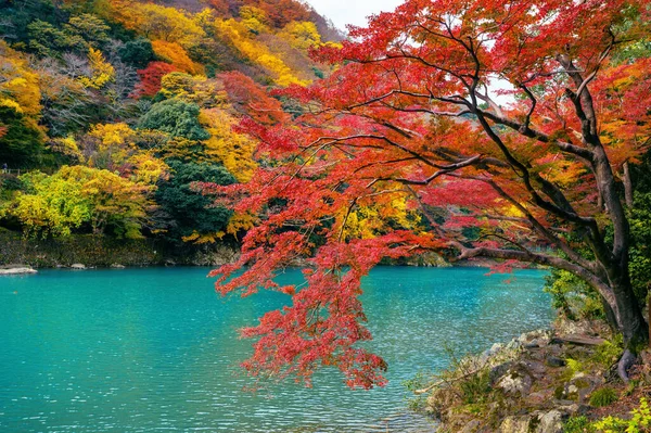 Arashiyama Temporada Outono Longo Rio Kyoto Japão — Fotografia de Stock
