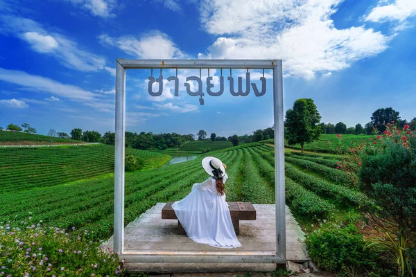 Turista Pie Plantación Chiang Rai Tailandia Traducción Choui Fong Tea — Foto de Stock