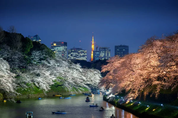 Cherry Blossoms Chidorigafuchi Park Tokyo Japan — Stock Photo, Image